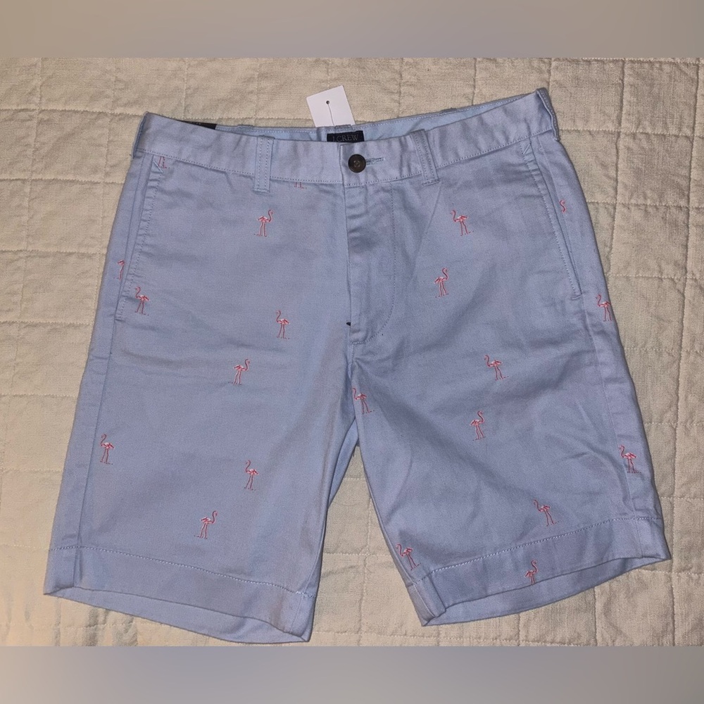 J Crew Factory Men’s Gramercy Shorts Size 31